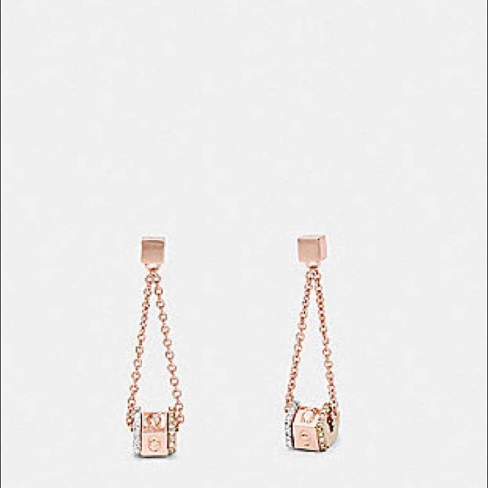 Coach Tricolor Earrings